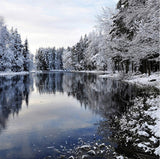 snow trees lake winter mural