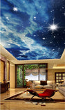 stars sky clouds ceiling mural