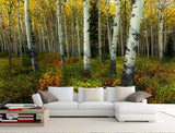 birch trees mural